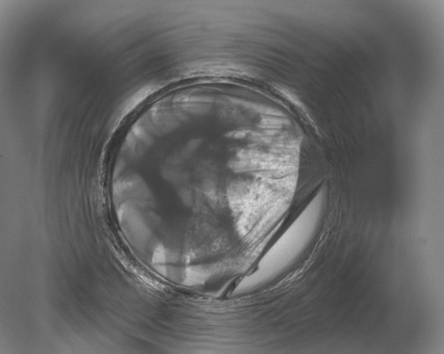 X0000080691071200701051054