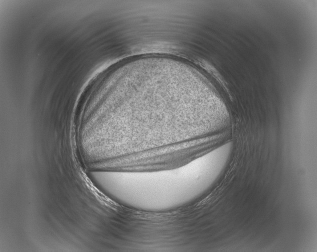 X0000080691072200701051054