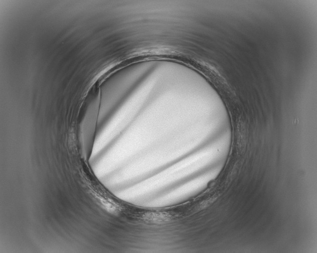 X0000080691073200701051054