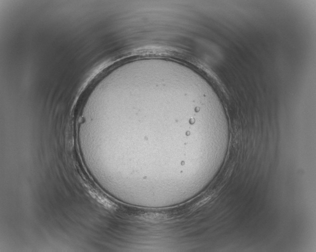 X0000080691075200701051054