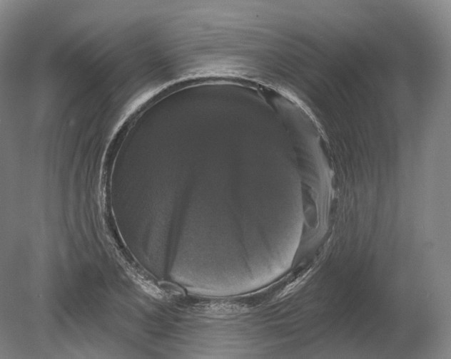 X0000080691077200701051054