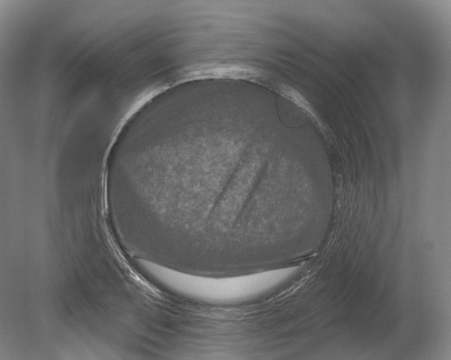 X0000080691079200701051054