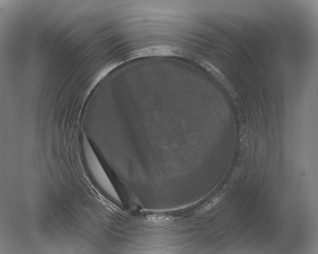 X0000080691081200701051054