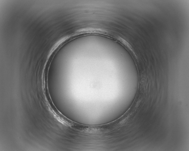 X0000080691082200701051054