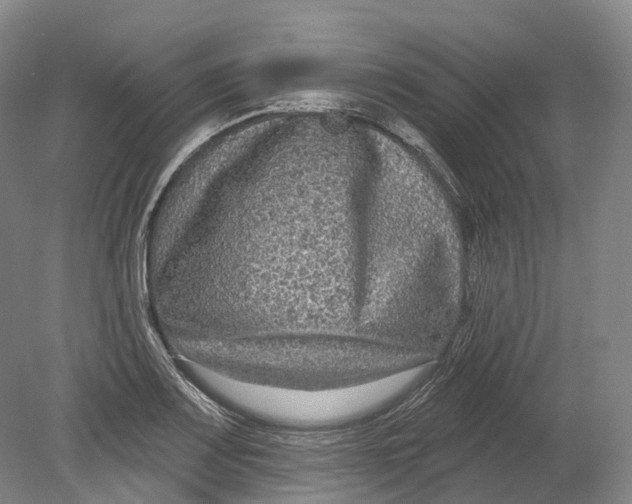 X0000080691083200701051054