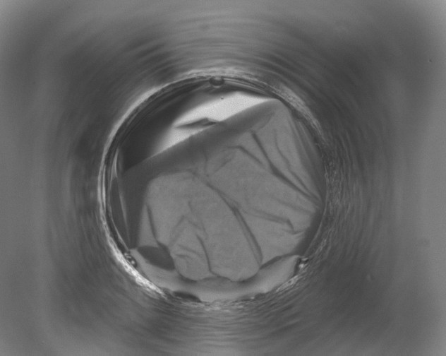 X0000080691084200701051054
