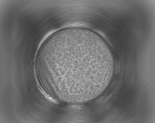 X0000080691086200701051054