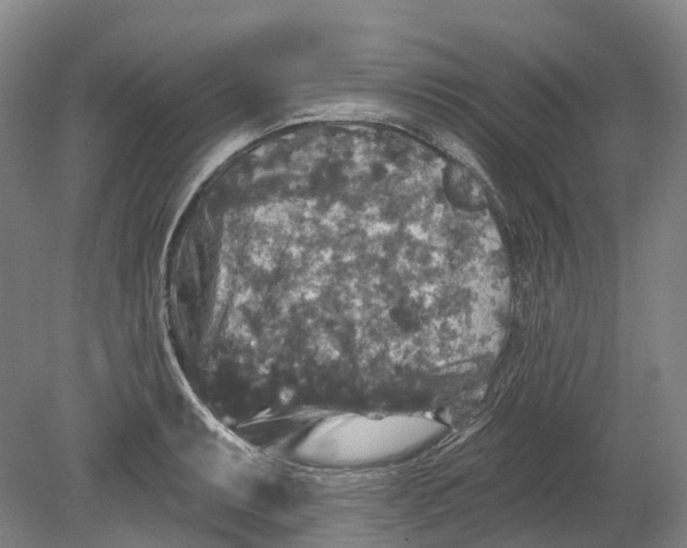 X0000080691087200701051054