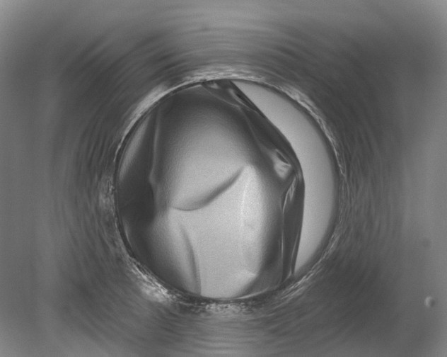 X0000080691089200701051054