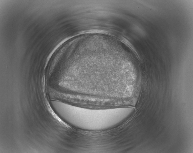 X0000080691092200701051054