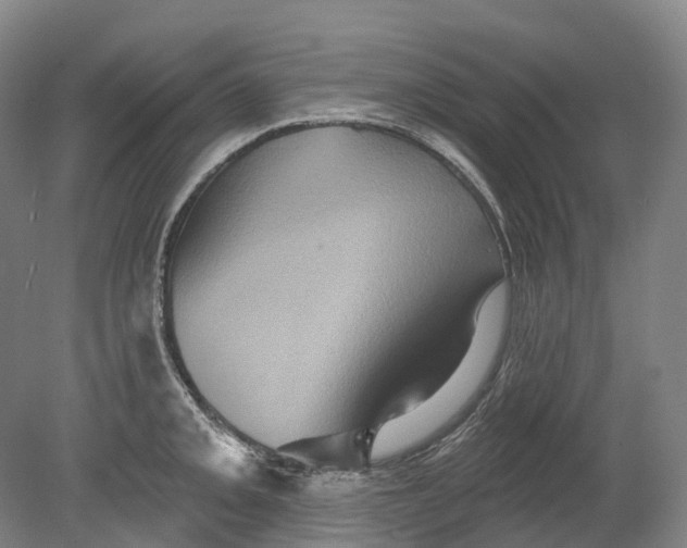 X0000080691093200701051054