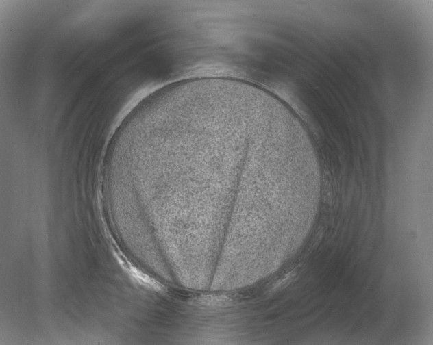 X0000080691094200701051054