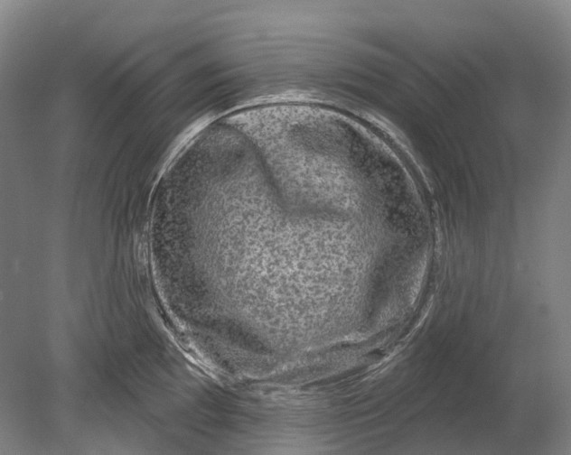 X0000080691097200701051054