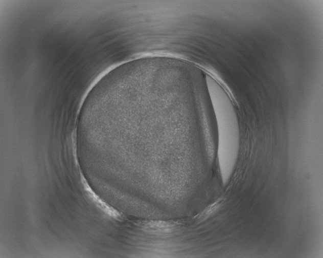 X0000080691100200701051053