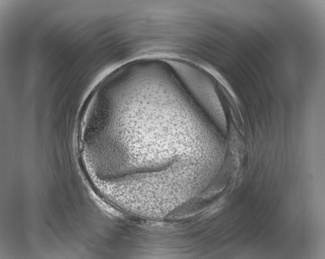 X0000080691101200701051053