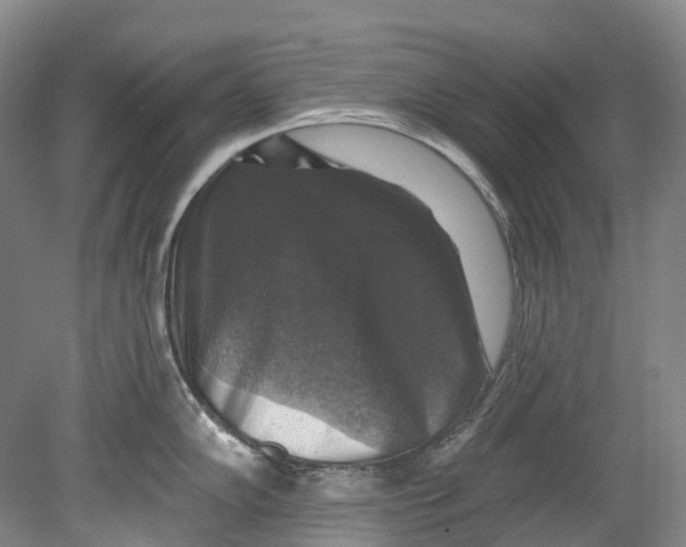 X0000080691102200701051053