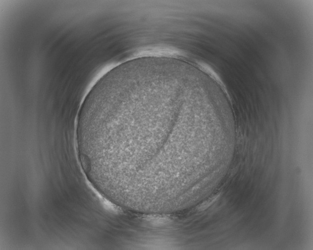 X0000080691103200701051053