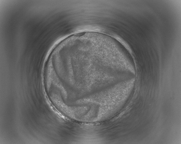 X0000080691104200701051053