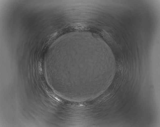 X0000080691106200701051053