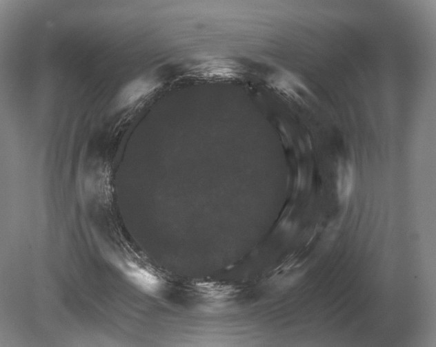 X0000080691108200701051053