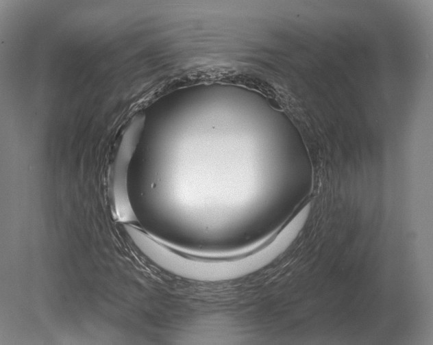 X0000080691109200701051053