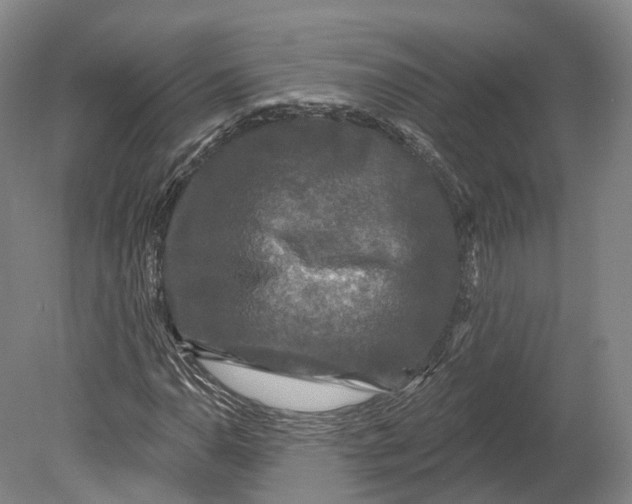 X0000080691110200701051053