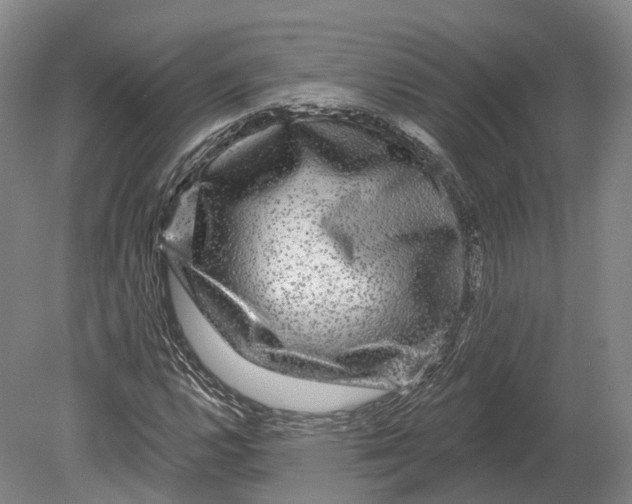 X0000080691112200701051053