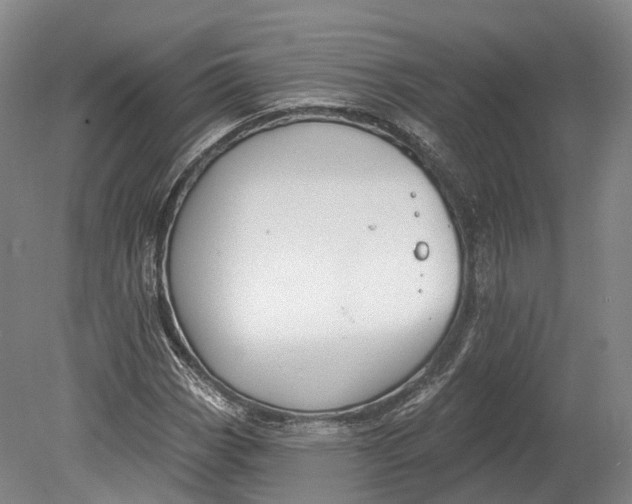 X0000080691113200701051053