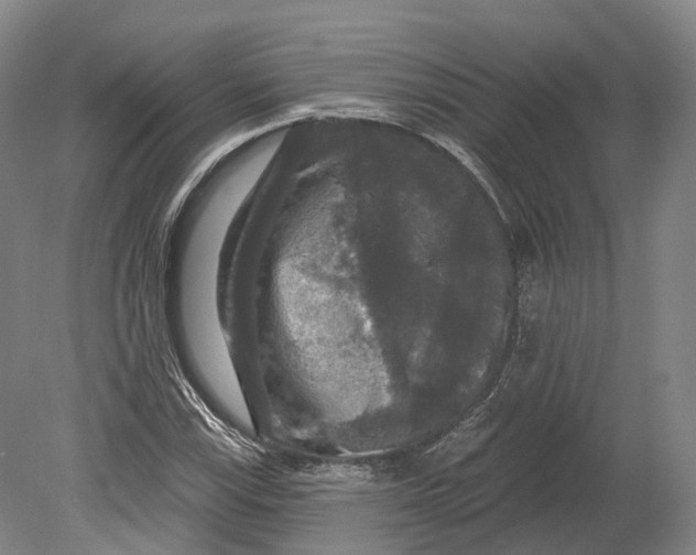 X0000080691115200701051053