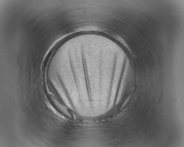 X0000080691116200701051053