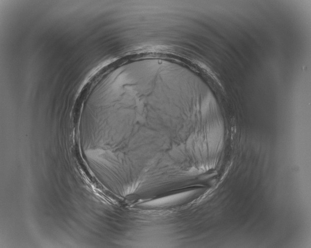 X0000080691117200701051053