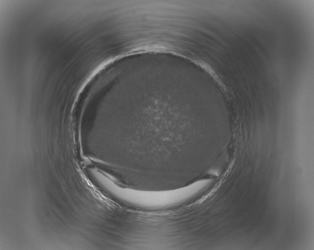 X0000080691118200701051053