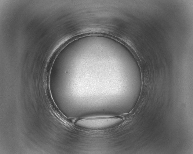 X0000080691119200701051053