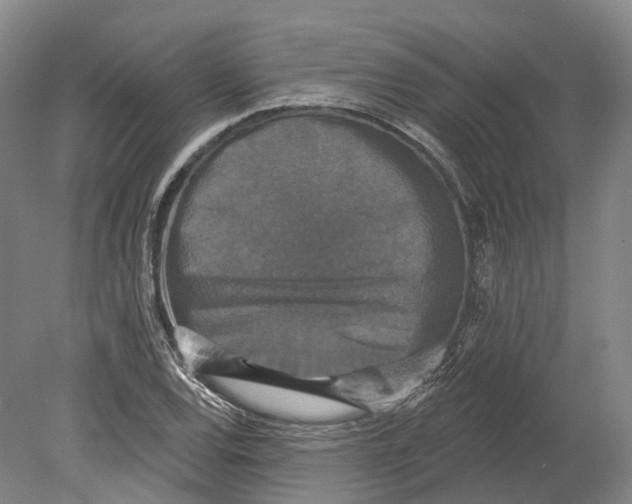 X0000080691120200701051053