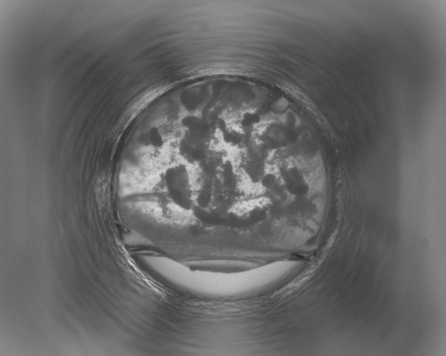 X0000080691121200701051053