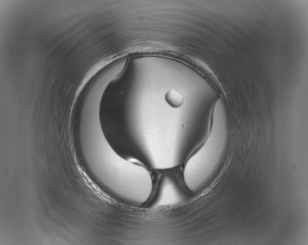 X0000080691122200701051053