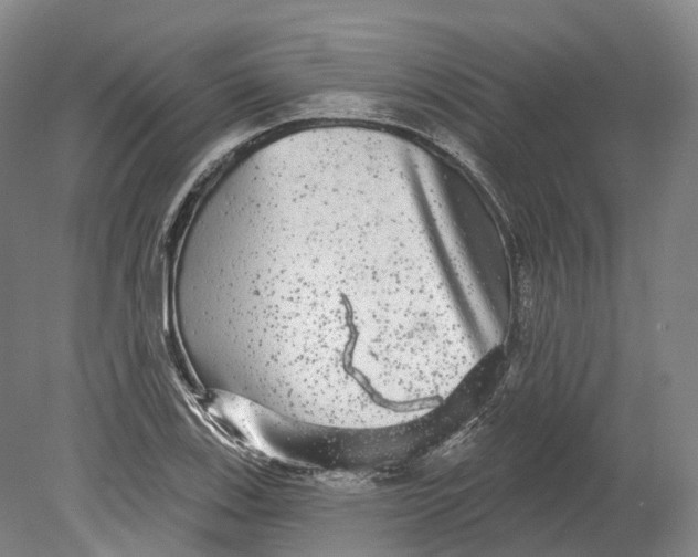 X0000080691123200701051053