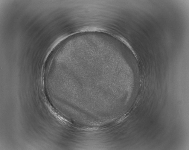 X0000080691124200701051053