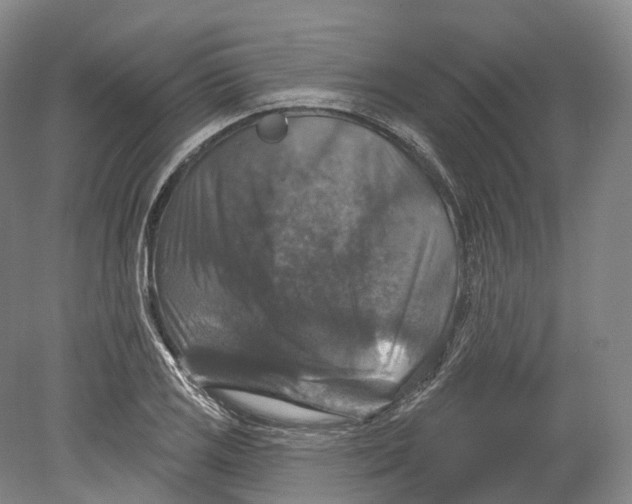 X0000080691125200701051053