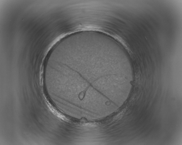 X0000080691126200701051053