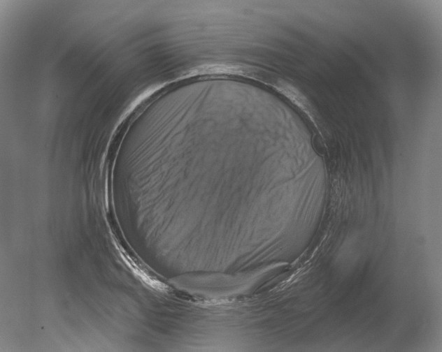 X0000080691127200701051053