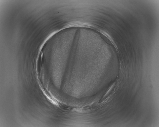 X0000080691128200701051053