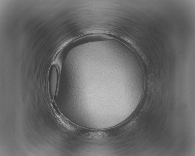 X0000080691129200701051053