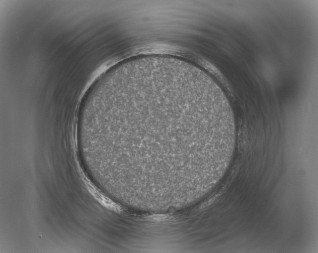 X0000080691130200701051053