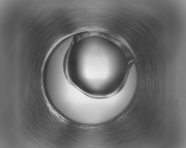 X0000080691132200701051053