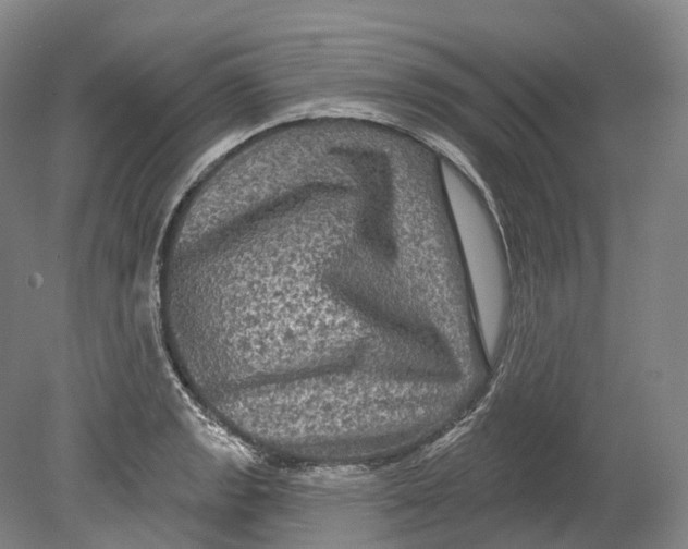 X0000080691133200701051053