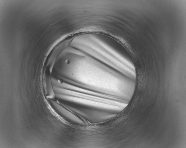 X0000080691134200701051053