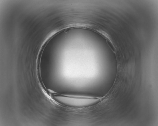 X0000080691135200701051053