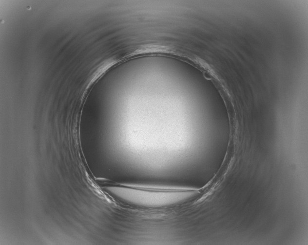 X0000080691137200701051053