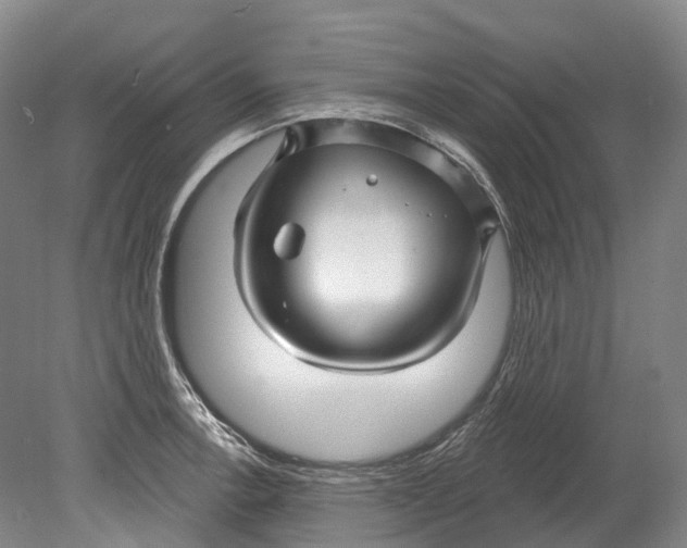 X0000080691138200701051053